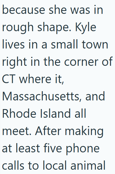 because she was in rough shape. Kyle lives in a small town right in the corner of CT where it, Massachusetts, and Rhode Island all meet. After making at least five phone calls to local animal