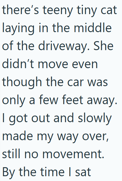 there's teeny tiny cat laying in the middle of the driveway. She didn't move even though the car was only a few feet away. I got out and slowly made my way over, still no movement. By the time I sat