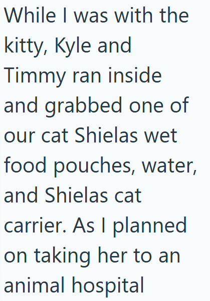 While I was with the kitty, Kyle and Timmy ran inside and grabbed one of our cat Shielas wet food pouches, water, and Shielas cat carrier. As I planned on taking her to an animal hospital