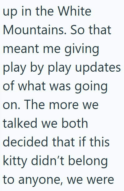 up in the White Mountains. So that meant me giving play by play updates of what was going on. The more we talked we both decided that if this kitty didn't belong to anyone, we were
