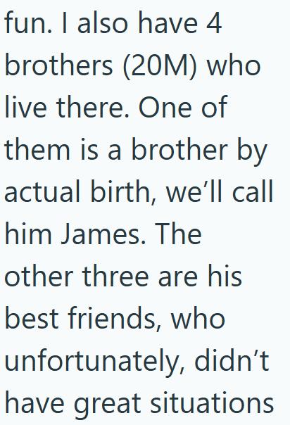 fun. I also have 4 brothers (20M) who live there. One of them is a brother by actual birth, we'll call him James. The other three are his best friends, who unfortunately, didn't have great situations