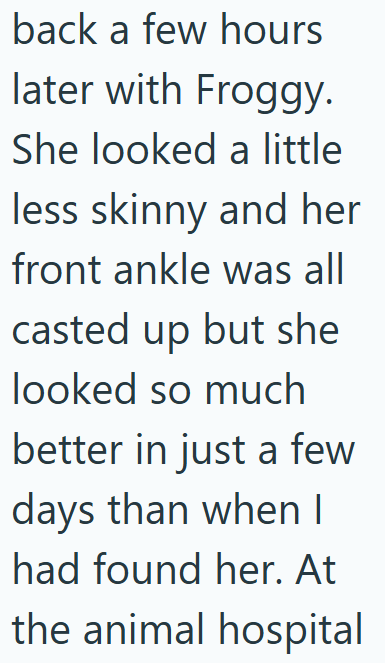 back a few hours later with Froggy. She looked a little less skinny and her front ankle was all casted up but she looked so much better in just a few days than when I had found her. At the animal hospital