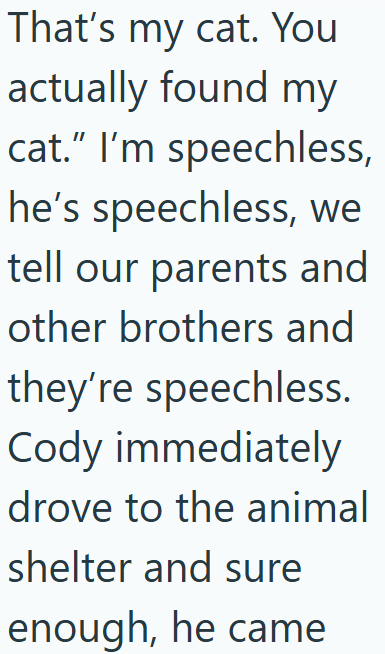 That's my cat. You actually found my cat." I'm speechless, he's speechless, we tell our parents and other brothers and they're speechless. Cody immediately drove to the animal shelter and sure enough, he came