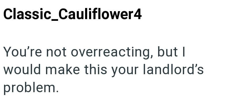 Classic_Cauliflower4 You're not overreacting, but I would make this your landlord's problem.