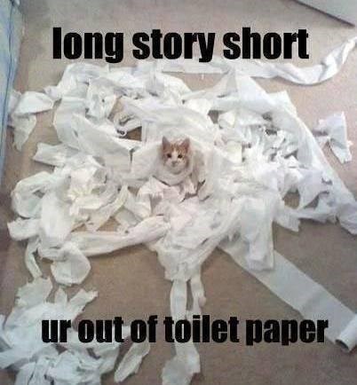 long story short ur out of toilet paper