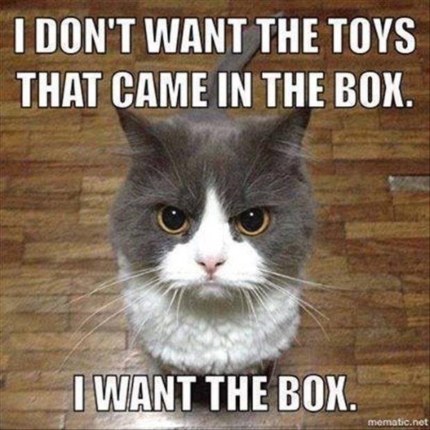 I DON'T WANT THE TOYS THAT CAME IN THE BOX. I WANT THE BOX. mematic.net