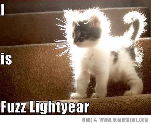 is Fuzz Lightyear MORE @ WWW.HUMORDEVIL.COM