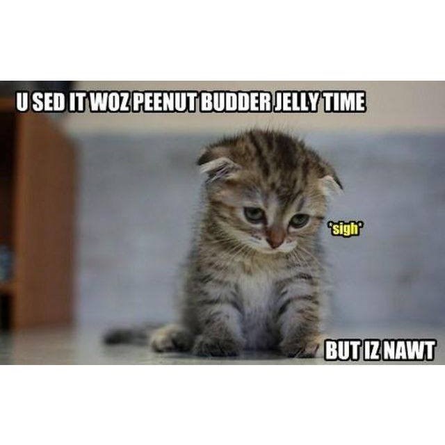 USED IT WOZ PEENUT BUDDER JELLY TIME sigh BUT IZ NAWT