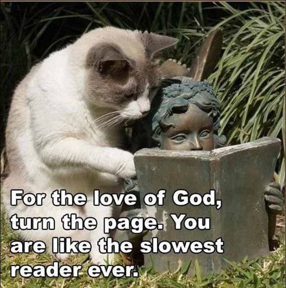 For the love of God, turn the page. You are like the slowest reader ever.