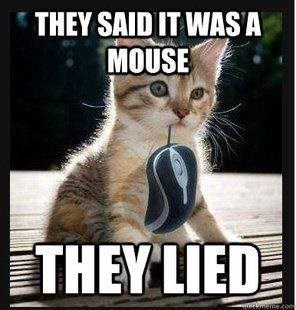 THEY SAID IT WAS A MOUSE THEY LIED