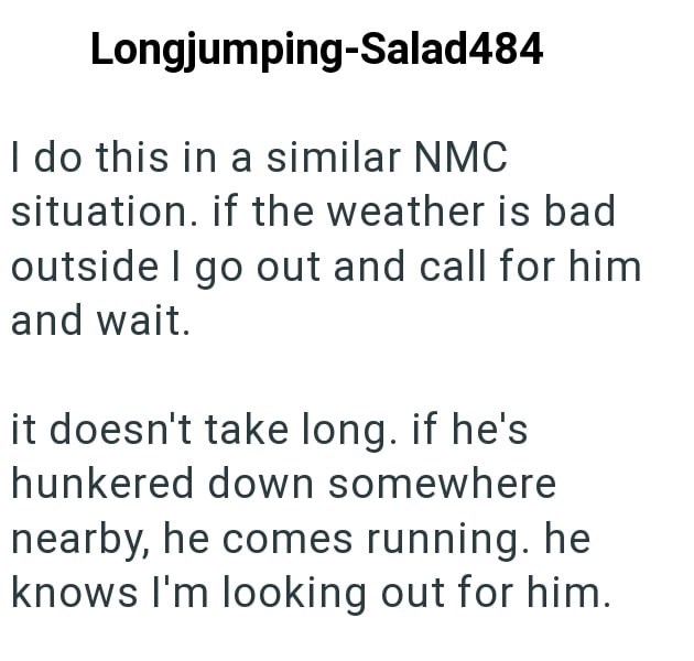 Longjumping-Salad484 I do this in a similar NMC situation. if the weather is bad outside I go out and call for him and wait. it doesn't take long. if he's hunkered down somewhere nearby, he comes running. he knows I'm looking out for him.