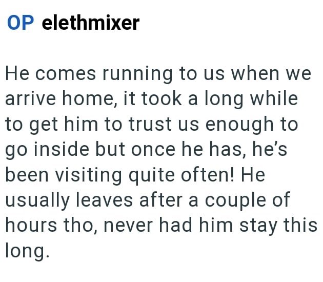 OP elethmixer He comes running to us when we arrive home, it took a long while to get him to trust us enough to go inside but once he has, he's been visiting quite often! He usually leaves after a couple of hours tho, never had him stay this long.