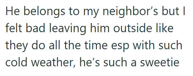 He belongs to my neighbor's but I felt bad leaving him outside like they do all the time esp with such cold weather, he's such a sweetie