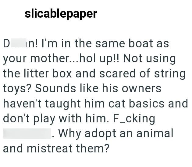slicablepaper Din! I'm in the same boat as your mother...hol up!! Not using the litter box and scared of string toys? Sounds like his owners haven't taught him cat basics and don't play with him. F_cking . Why adopt an animal and mistreat them?