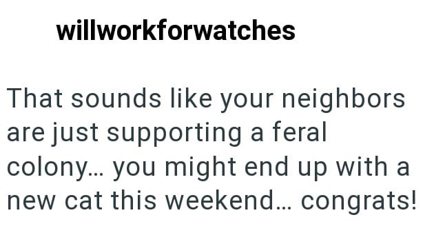 willworkforwatches That sounds like your neighbors are just supporting a feral colony... you might end up with a new cat this weekend... congrats!