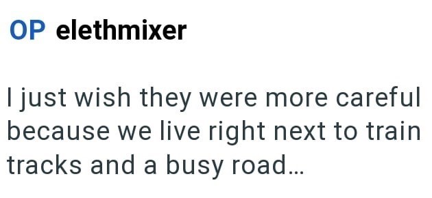 OP elethmixer I just wish they were more careful because we live right next to train tracks and a busy road...