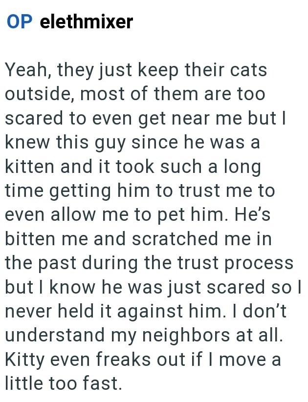 OP elethmixer Yeah, they just keep their cats outside, most of them are too scared to even get near me but I knew this guy since he was a kitten and it took such a long time getting him to trust me to even allow me to pet him. He's bitten me and scratched me in the past during the trust process but I know he was just scared so I never held it against him. I don't understand my neighbors at all. Kitty even freaks out if I move a little too fast.