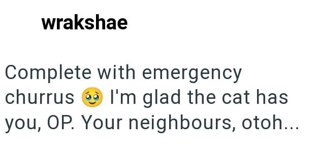 wrakshae Complete with emergency churrus I'm glad the cat has you, OP. Your neighbours, otoh...