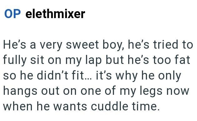 OP elethmixer He's a very sweet boy, he's tried to fully sit on my lap but he's too fat so he didn't fit... it's why he only hangs out on one of my legs now when he wants cuddle time.