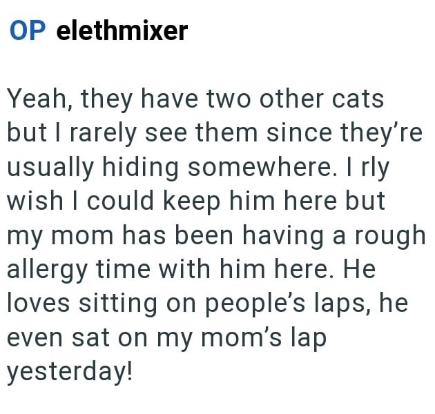 OP elethmixer Yeah, they have two other cats but I rarely see them since they're usually hiding somewhere. I rly wish I could keep him here but my mom has been having a rough allergy time with him here. He loves sitting on people's laps, he even sat on my mom's lap yesterday!