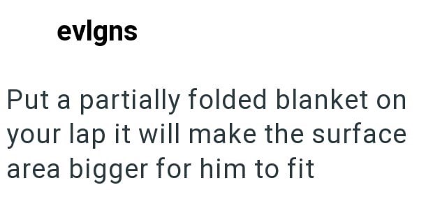 evlgns Put a partially folded blanket on your lap it will make the surface area bigger for him to fit