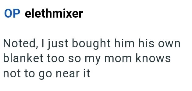 OP elethmixer Noted, I just bought him his own blanket too so my mom knows not to go near it