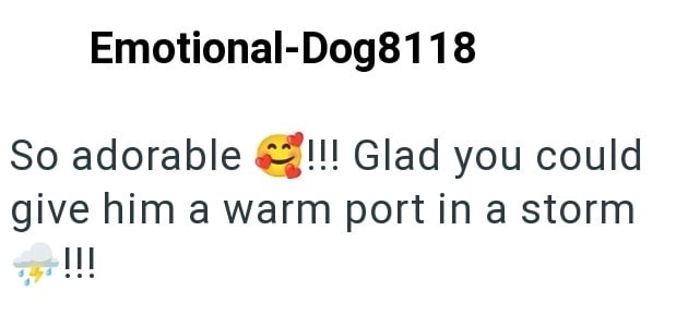 Emotional-Dog8118 So adorable!!! Glad you could give him a warm port in a storm →+!!!