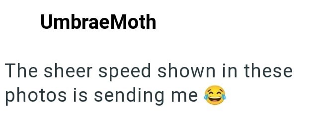UmbraeMoth The sheer speed shown in these photos is sending me >