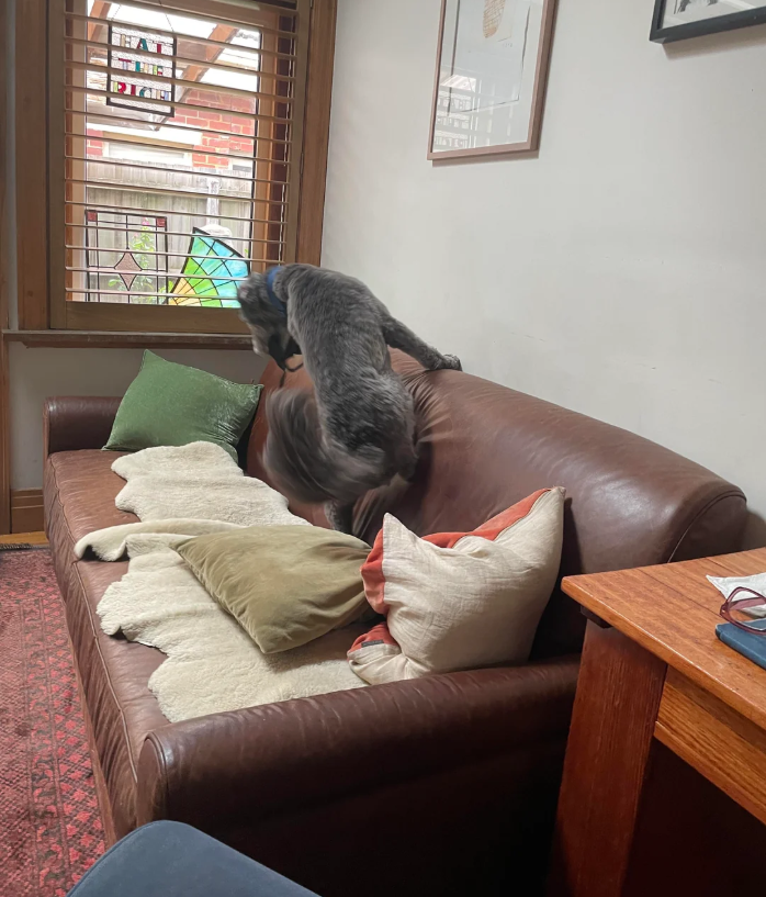 Cheezburger Image 10610978816