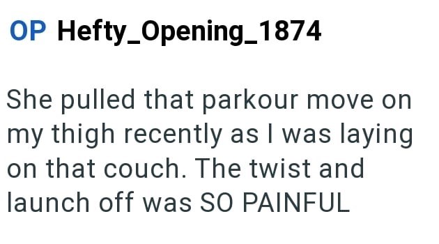 OP Hefty_Opening_1874 She pulled that parkour move on my thigh recently as I was laying on that couch. The twist and launch off was SO PAINFUL