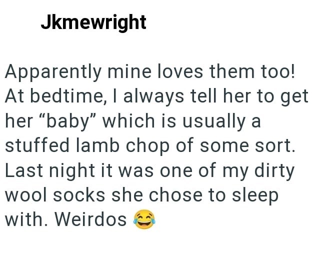 Jkmewright Apparently mine loves them too! At bedtime, I always tell her to get her "baby" which is usually a stuffed lamb chop of some sort. Last night it was one of my dirty wool socks she chose to sleep with. Weirdos