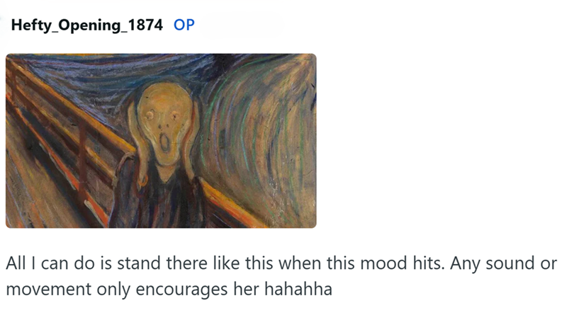 Hefty_Opening 1874 OP All I can do is stand there like this when this mood hits. Any sound or movement only encourages her hahahha