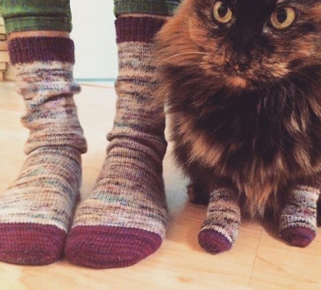 Cheezburger Image 10610991872