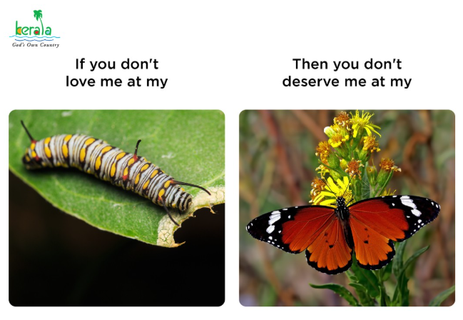 kerala God's Own Country If you don't love me at my Then you don't deserve me at my