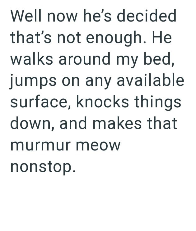 Well now he's decided that's not enough. He walks around my bed, jumps on any available surface, knocks things down, and makes that murmur meow nonstop.