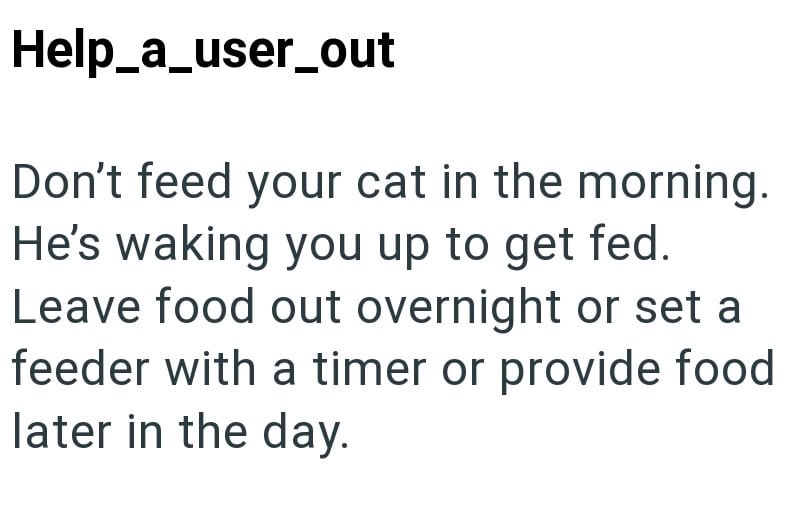 Help_a_user_out Don't feed your cat in the morning. He's waking you up to get fed. Leave food out overnight or set a feeder with a timer or provide food later in the day.