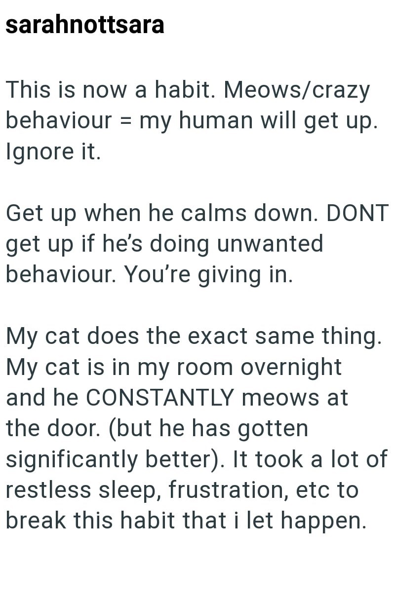 sarahnottsara = This is now a habit. Meows/crazy behaviour my human will get up. Ignore it. Get up when he calms down. DONT get up if he's doing unwanted behaviour. You're giving in. My cat does the exact same thing. My cat is in my room overnight and he CONSTANTLY meows at the door. (but he has gotten significantly better). It took a lot of restless sleep, frustration, etc to break this habit that i let happen.
