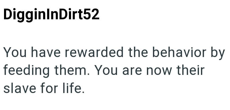 DigginInDirt52 You have rewarded the behavior by feeding them. You are now their slave for life.