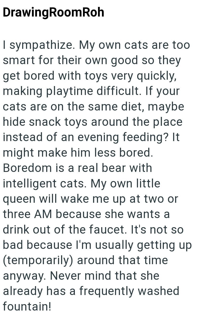 DrawingRoomRoh I sympathize. My own cats are too smart for their own good so they get bored with toys very quickly, making playtime difficult. If your cats are on the same diet, maybe hide snack toys around the place instead of an evening feeding? It might make him less bored. Boredom is a real bear with intelligent cats. My own little queen will wake me up at two or three AM because she wants a drink out of the faucet. It's not so bad because I'm usually getting up (temporarily) around that tim