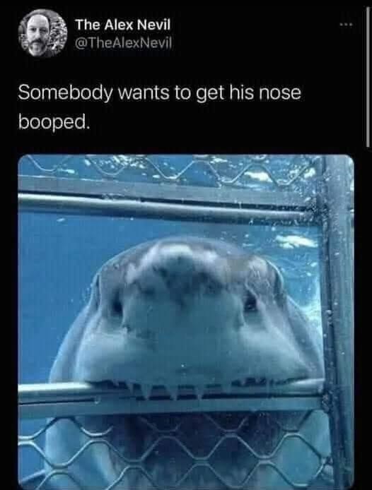 The Alex Nevil @TheAlexNevil Somebody wants to get his nose booped.