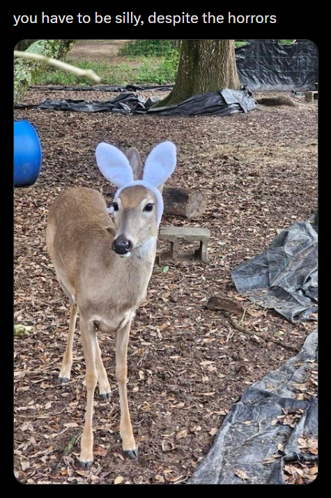 you have to be silly, despite the horrors