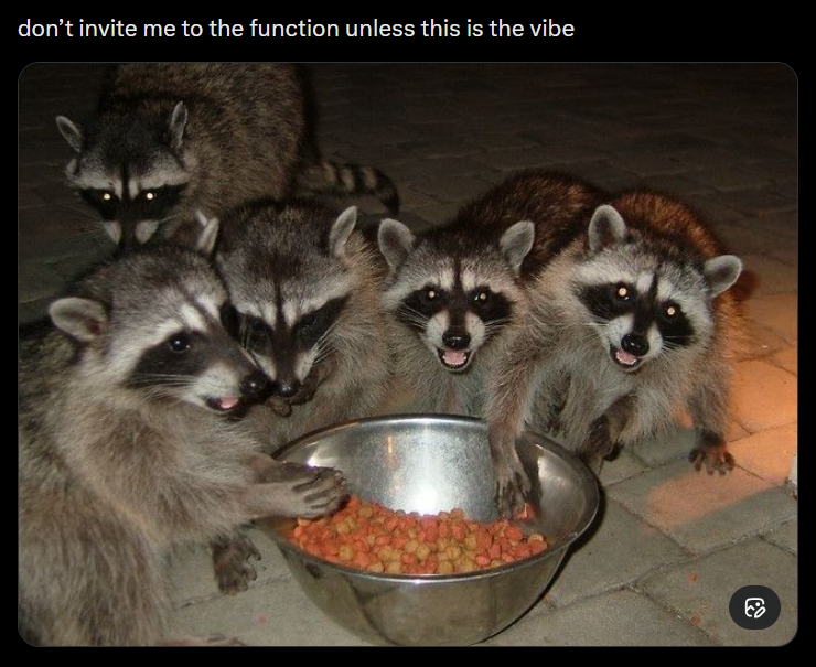 don't invite me to the function unless this is the vibe