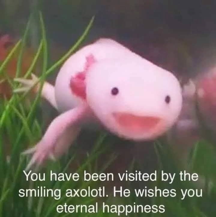 You have been visited by the smiling axolotl. He wishes you eternal happiness