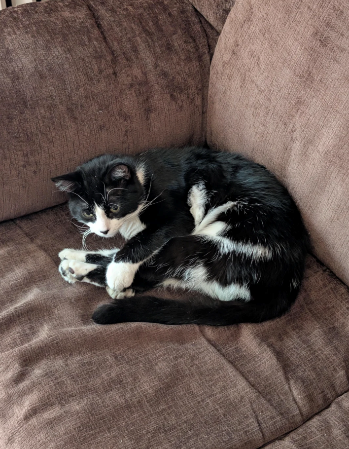 Cheezburger Image 10611010560