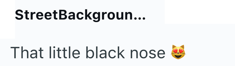 StreetBackgroun... That little black nose