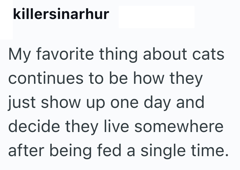 killersinarhur My favorite thing about cats continues to be how they just show up one day and decide they live somewhere after being fed a single time.