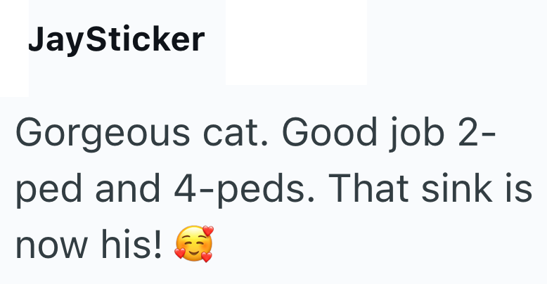 JaySticker Gorgeous cat. Good job 2- ped and 4-peds. That sink is now his!