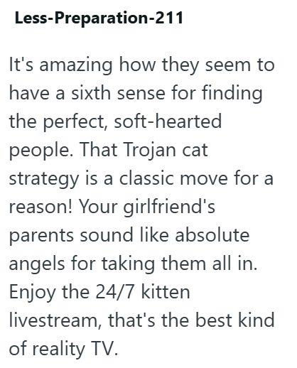 Less-Preparation-211 It's amazing how they seem to have a sixth sense for finding the perfect, soft-hearted people. That Trojan cat strategy is a classic move for a reason! Your girlfriend's parents sound like absolute angels for taking them all in. Enjoy the 24/7 kitten livestream, that's the best kind of reality TV.