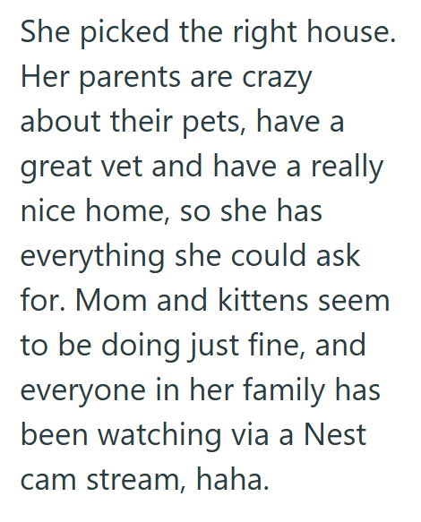 She picked the right house. Her parents are crazy about their pets, have a great vet and have a really nice home, so she has everything she could ask for. Mom and kittens seem to be doing just fine, and everyone in her family has been watching via a Nest cam stream, haha.