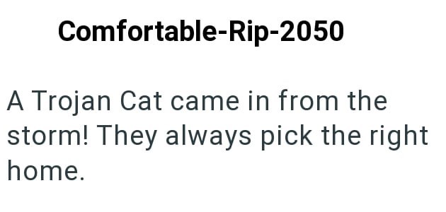 Comfortable-Rip-2050 A Trojan Cat came in from the storm! They always pick the right home.